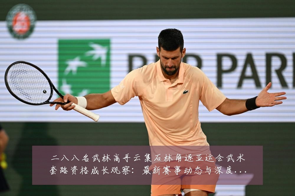 二八八名武林高手云集石林角逐亚运会武术套路资格成长观察：最新赛事动态与深度分析
