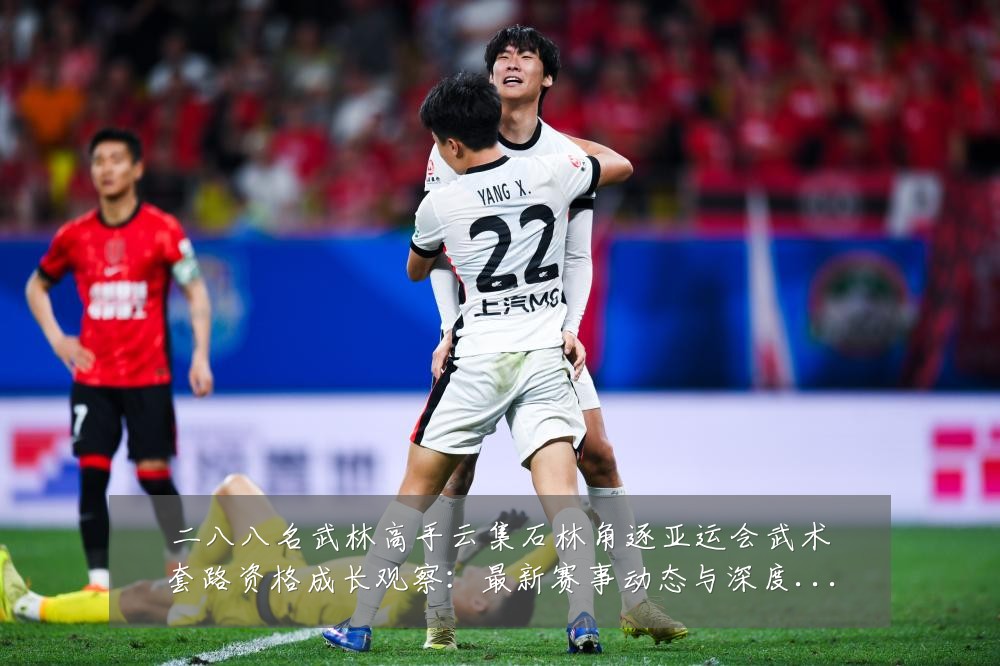 二八八名武林高手云集石林角逐亚运会武术套路资格成长观察：最新赛事动态与深度分析